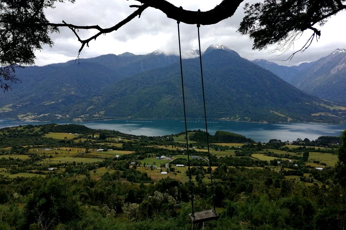 Coihue de los Columpios con vista al Estuario de Reloncaví